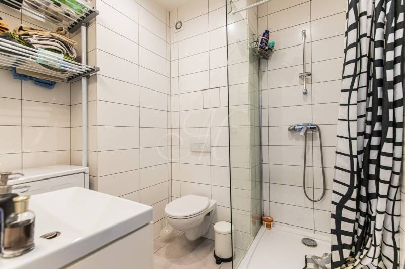 Bathroom in a 2-room apartment with a sink, shower, and washing machine.