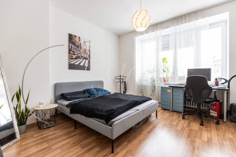 Bedroom in a 2-room apartment with a bed, a desk, houseplants, and wall decorations.