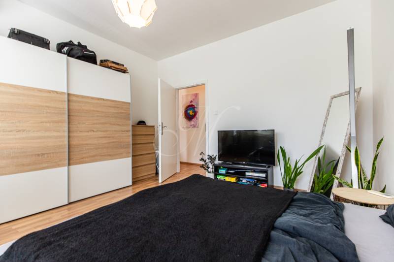 Interior of a 2-room apartment with a double bed, wardrobe, television, and plants.