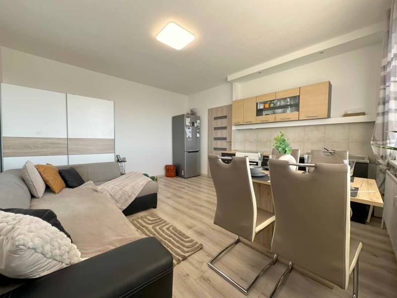 Living room with a kitchen, sofa, dining table, and modern chairs in a two-room apartment.
