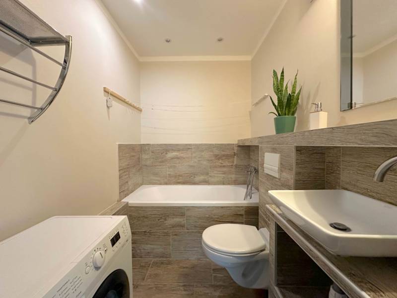 A bathroom in a 2-room apartment with a shower bathtub, washing machine, and indoor plant.