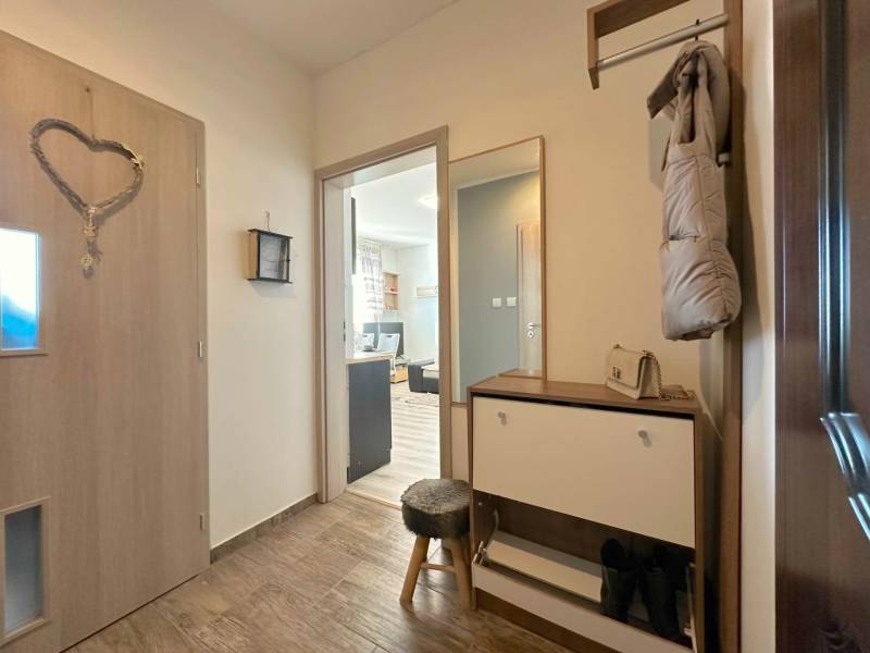Hallway in a 2-room apartment with a mirror, furniture, and a coat rack.
