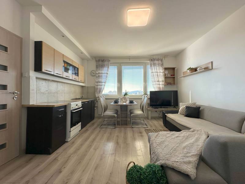 Living room with a kitchenette, sofa, and table in a 2-room apartment.