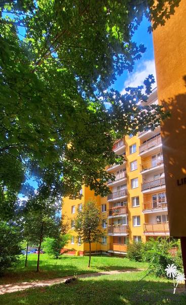 A yellow apartment building among trees in Trenčín in the Juh area offers a 3-room apartment.