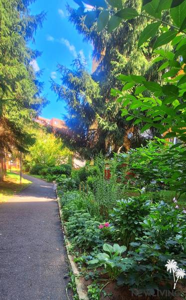 A sidewalk surrounded by greenery in the housing estate in Trenčín, part Juh, next to a 3-room apartment.