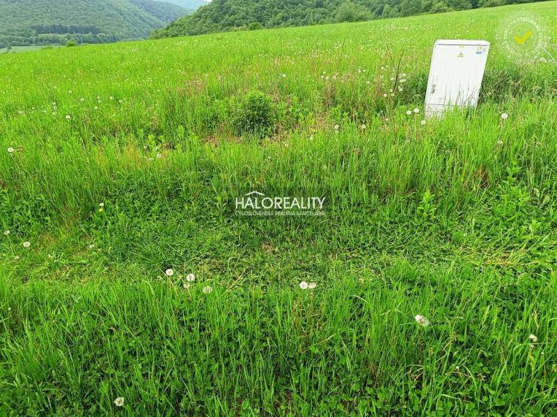 A grassy plot for living near Margecany, surrounded by nature and greenery.