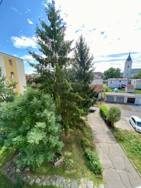 A view of greenery and church towers in Očová from the window of a 4-room apartment.
