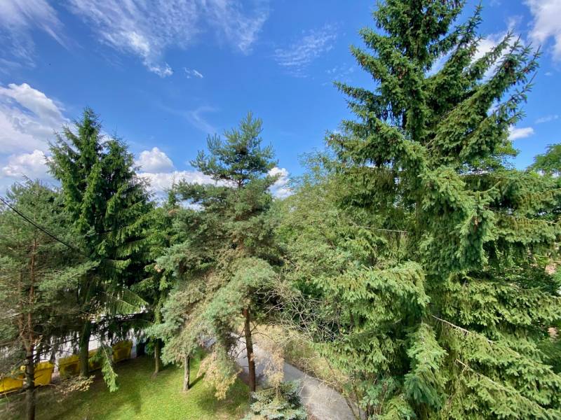 Greenery and trees around a 4-room apartment in Očová under a clear sky.