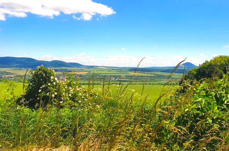 The landscape around Ražňany, agricultural and forest lands with blooming flowers and hills.