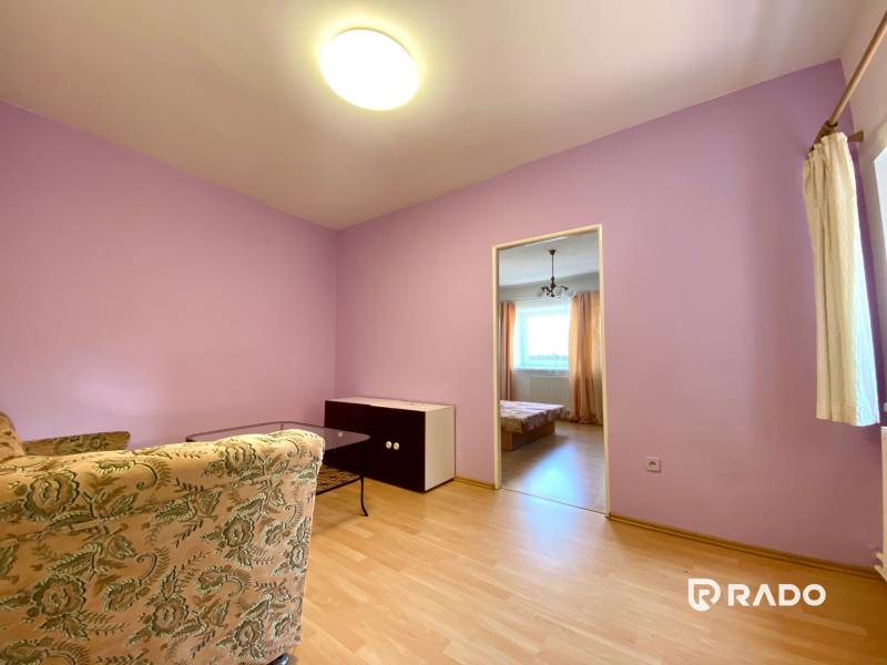 Living room of a two-room apartment with purple walls, a sofa, and a view into the bedroom.