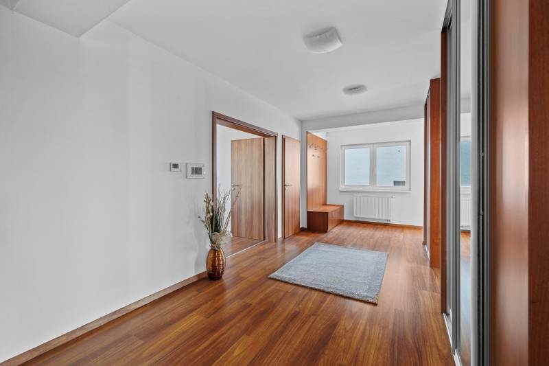 A hallway in a family house with a wooden floor, a mirror, and modern doors.