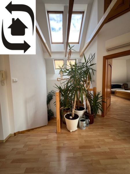 Interior of a 5 or more room apartment with plants and wood-patterned flooring.