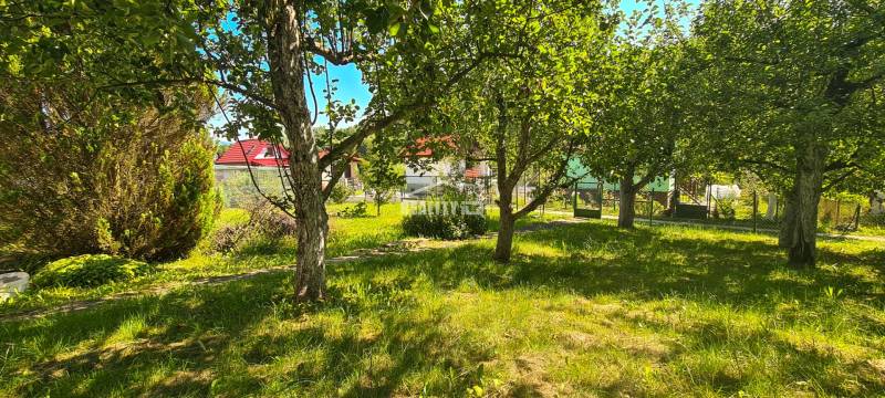 A garden with trees in the village of Mojš, with the roofs and fences of cottages visible behind them.