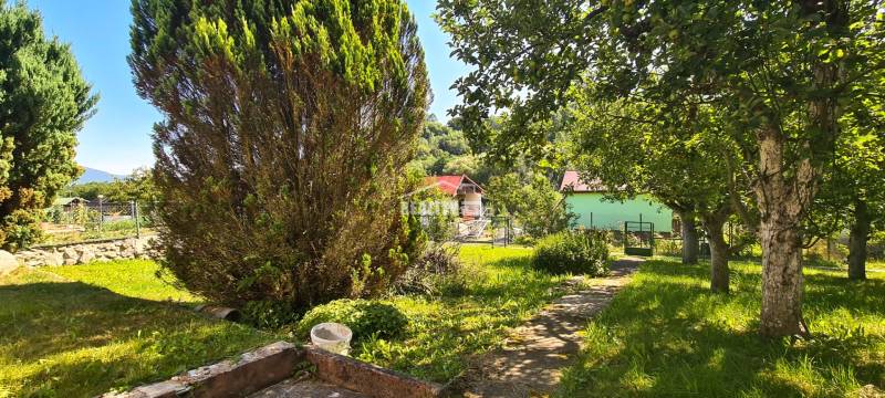 A garden in Mojš with a cottage surrounded by greenery and fruit trees.