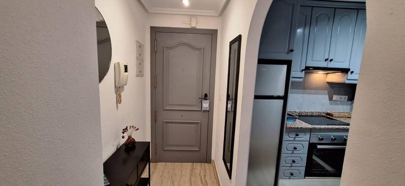 Entrance hall with gray doors and a kitchenette in a 3-room apartment.