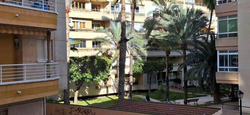 Apartment buildings surrounded by palm trees and greenery in Torrevieja and a 3-room apartment.