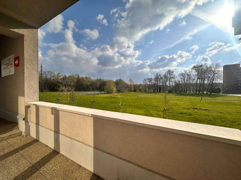 View from the offices on Antolska Street in Bratislava-Petržalka with a grassy area and trees.