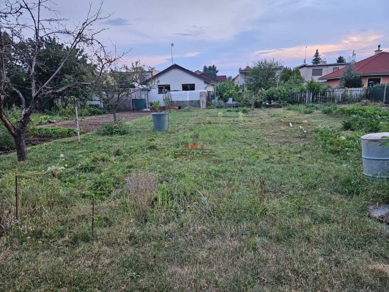 A plot with a garden, grass cover, fruit trees, and houses in the background.