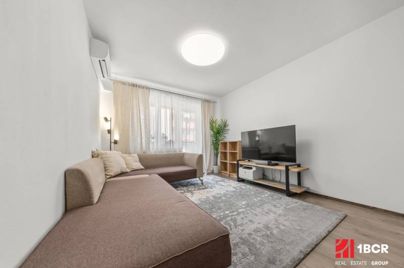 Living room in a two-room apartment with a sofa, television, and shelf.