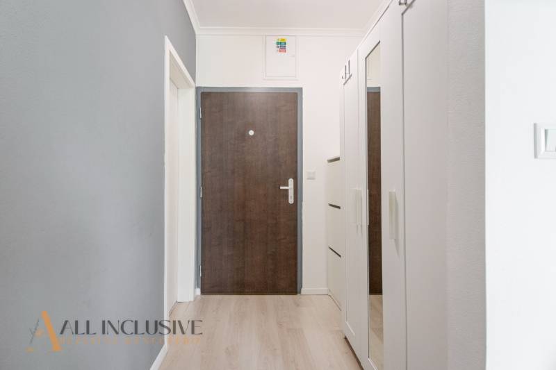 Entrance hallway in a 2-room apartment with a white wardrobe and dark doors.