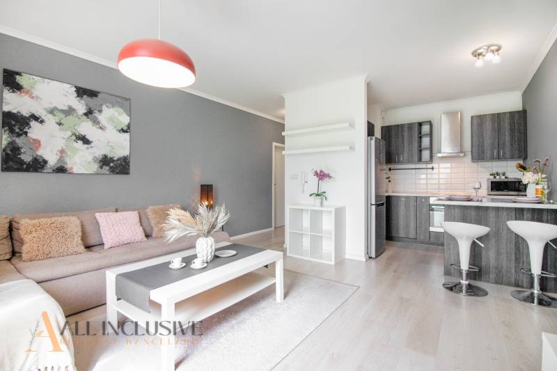 Living room with kitchen in a 2-room apartment, light wooden floors, gray furniture.