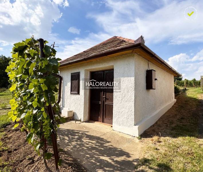 A cottage in Bátorove Kosihy with a pale facade and vines on a sunny plot.