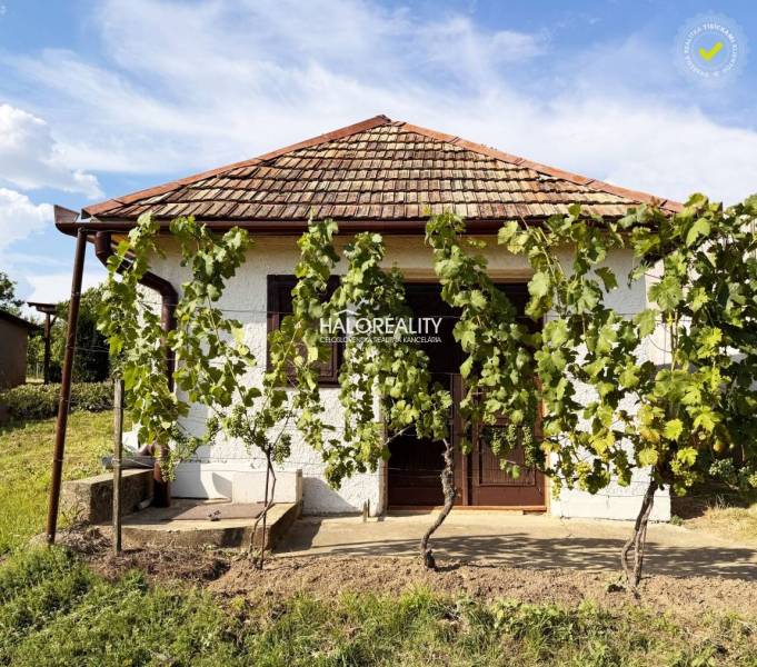 In Bátorove Kosihy, there is a cottage with grapevines, a brick roof, and a green garden.
