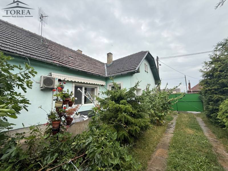 A family house in Ludanice with a landscaped garden and ornamental flowers by the window.
