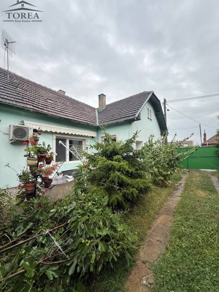 The garden of a family house in Ludanice with cultivated plants, a tree, and a green hedge.