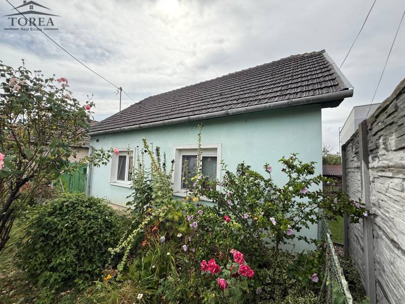 A family house in Ludanice surrounded by flowers and green shrubs in the garden.