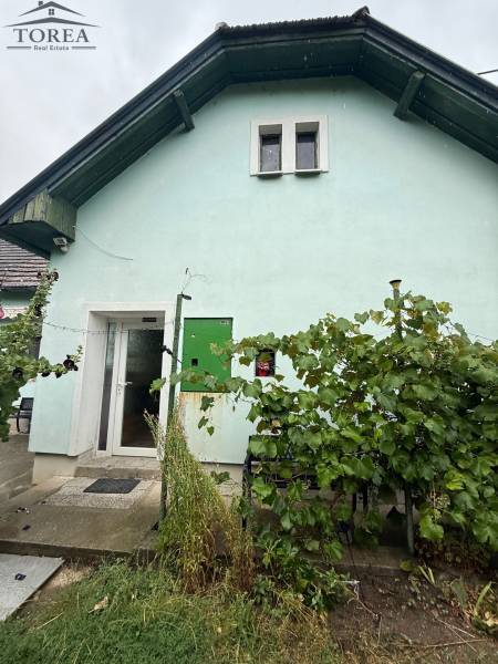 A family house in Ludanice with a green facade and a garden with grapevines.