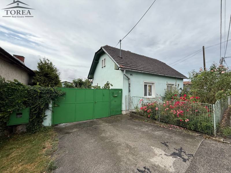 A family house in Ludanice, a green gate, blooming shrubs, and an asphalt road.