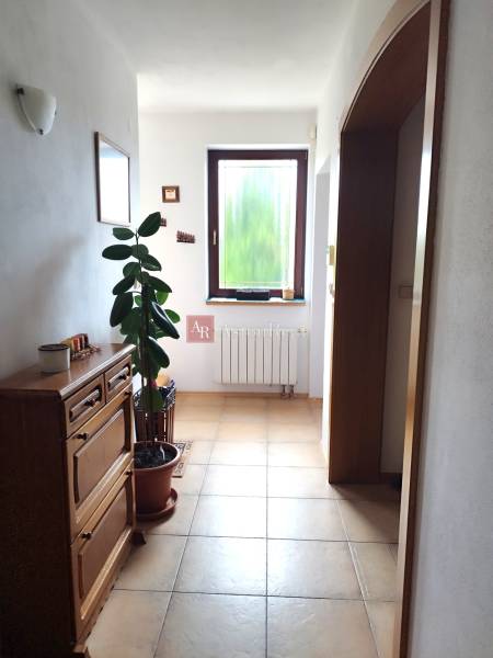 A hallway in a family house with a plant, a drawer cabinet, and a window with a view.