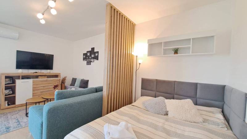 Studio apartment with a sofa set, bed, and television, separated by a wooden partition.
