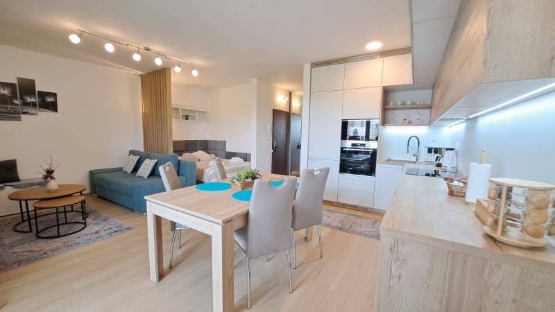 Studio apartment with a modern kitchen, dining table, sofa, and decorations.