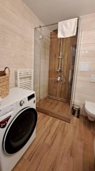 A bathroom in a studio apartment with a modern shower, washing machine, and toilet.