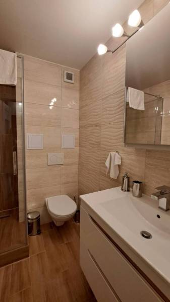 A bathroom in a studio apartment with a toilet, shower, and sink with a mirror.