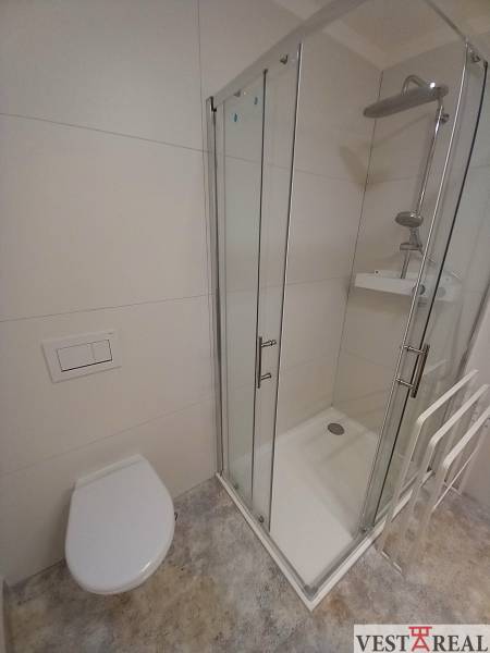 Bathroom with toilet and shower in a family house.
