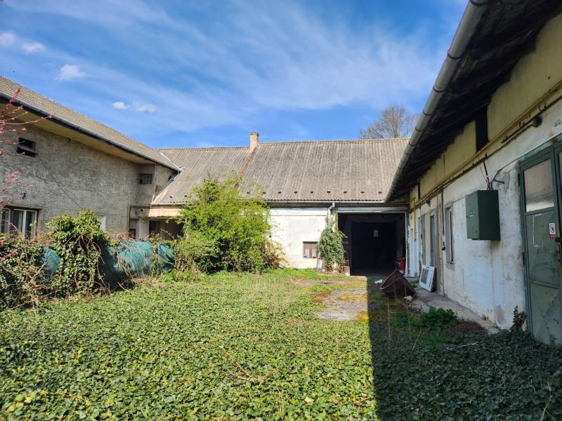 Overgrown yard of peculiar properties on P. O. Hviezdoslava Street, Nové Mesto nad Váhom.
