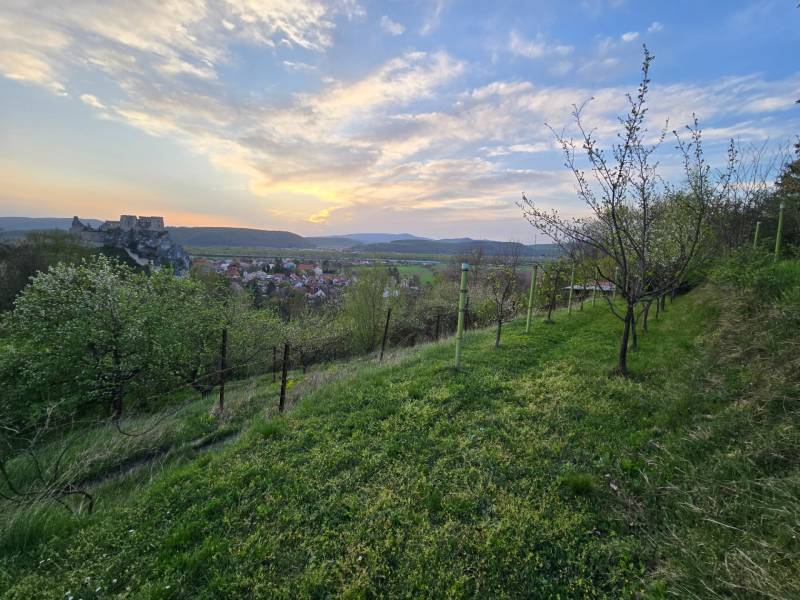 Sunset over the ruins of Beckov Castle from the slope above Sychrov Street.