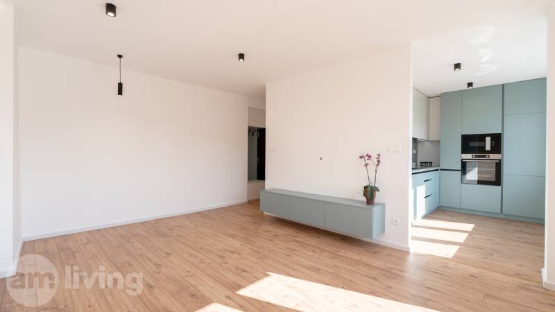 A bright interior with wooden flooring, a kitchen unit, and a wall cabinet in a 2-room apartment.