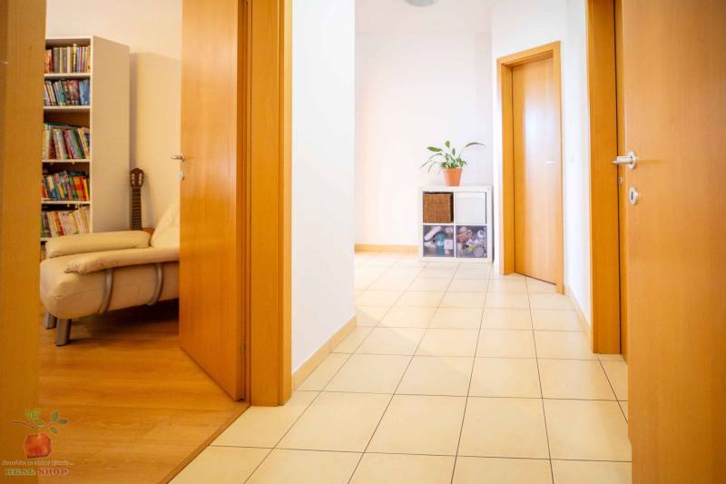 The hallway of a 3-room apartment with white walls, a plant, books, and light-colored doors.