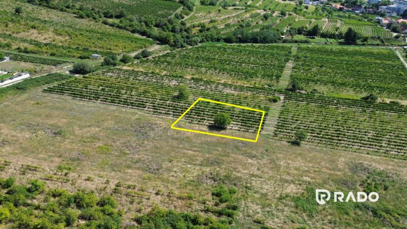 Aerial view of vineyards in Bratislava-Rača designated for residential land.