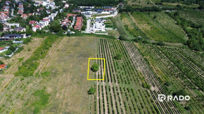 Aerial view of vineyards and properties - living in Bratislava - Rača.