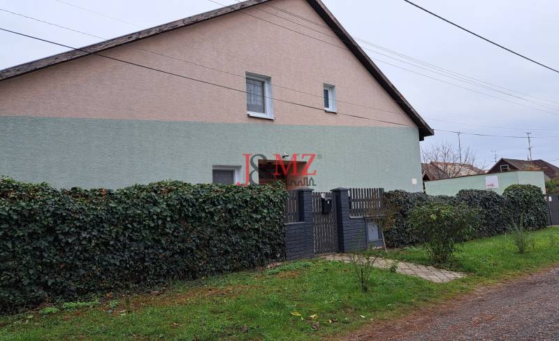 A family house in Levice with a fence covered in ivy, an entrance gate, and a grassy plot.