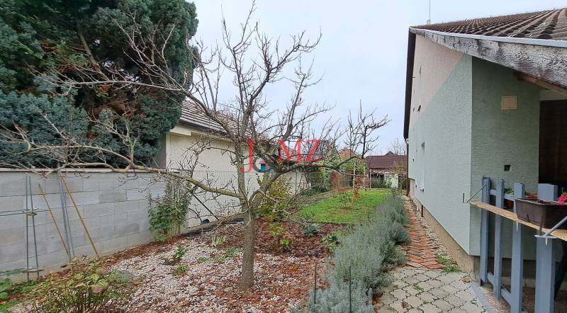 A garden next to a family house in Levice with a fence and a leafless tree.