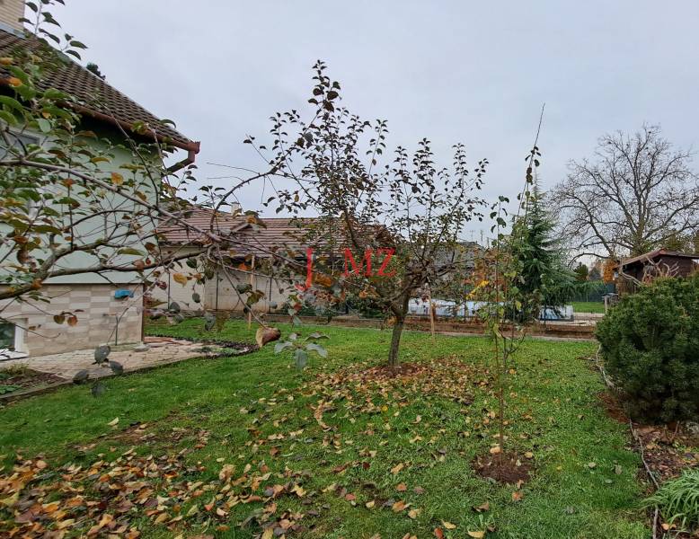 The garden of a family house in Levice with a lawn, trees, and a pool in the background.