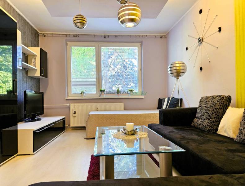 Living room in a two-room apartment with a sofa, television, table, and decorations.