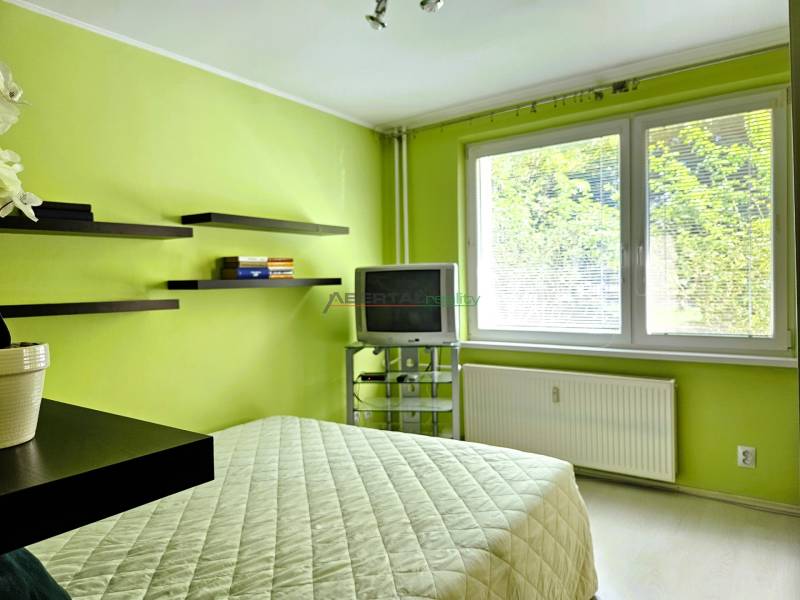 A room painted green in a 2-room apartment with a bed, television, and shelves.