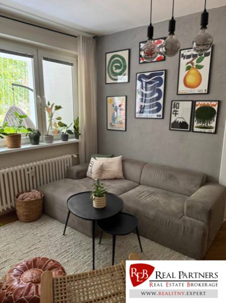Living room with a gray sofa, wall decorations, and houseplants.